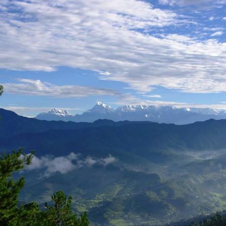 Cosmos Himalayan Villas Ranikhet Zewnętrze zdjęcie