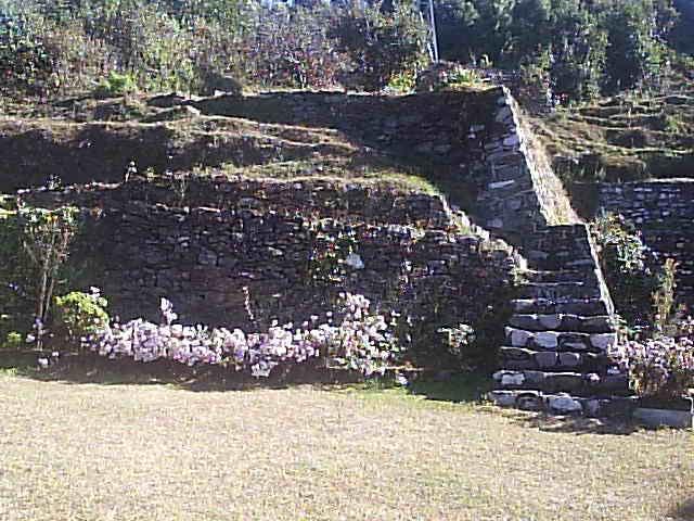 Cosmos Himalayan Villas Ranikhet Zewnętrze zdjęcie