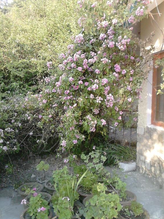 Cosmos Himalayan Villas Ranikhet Zewnętrze zdjęcie